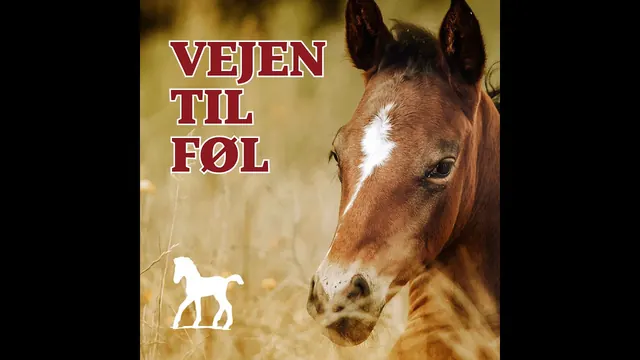 Vejen til Føl Episode 4, Behandlingsmetoder og effektivitet